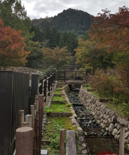 20151106_133646