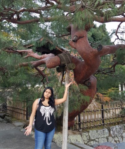 un árbol de tronco rojo