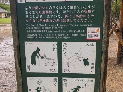 Nara-deer-warning.jpg.optimal